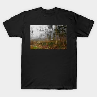 Winter Woodland in Carinthia, Austria T-Shirt